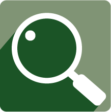 Green Magnifying Glass Icon