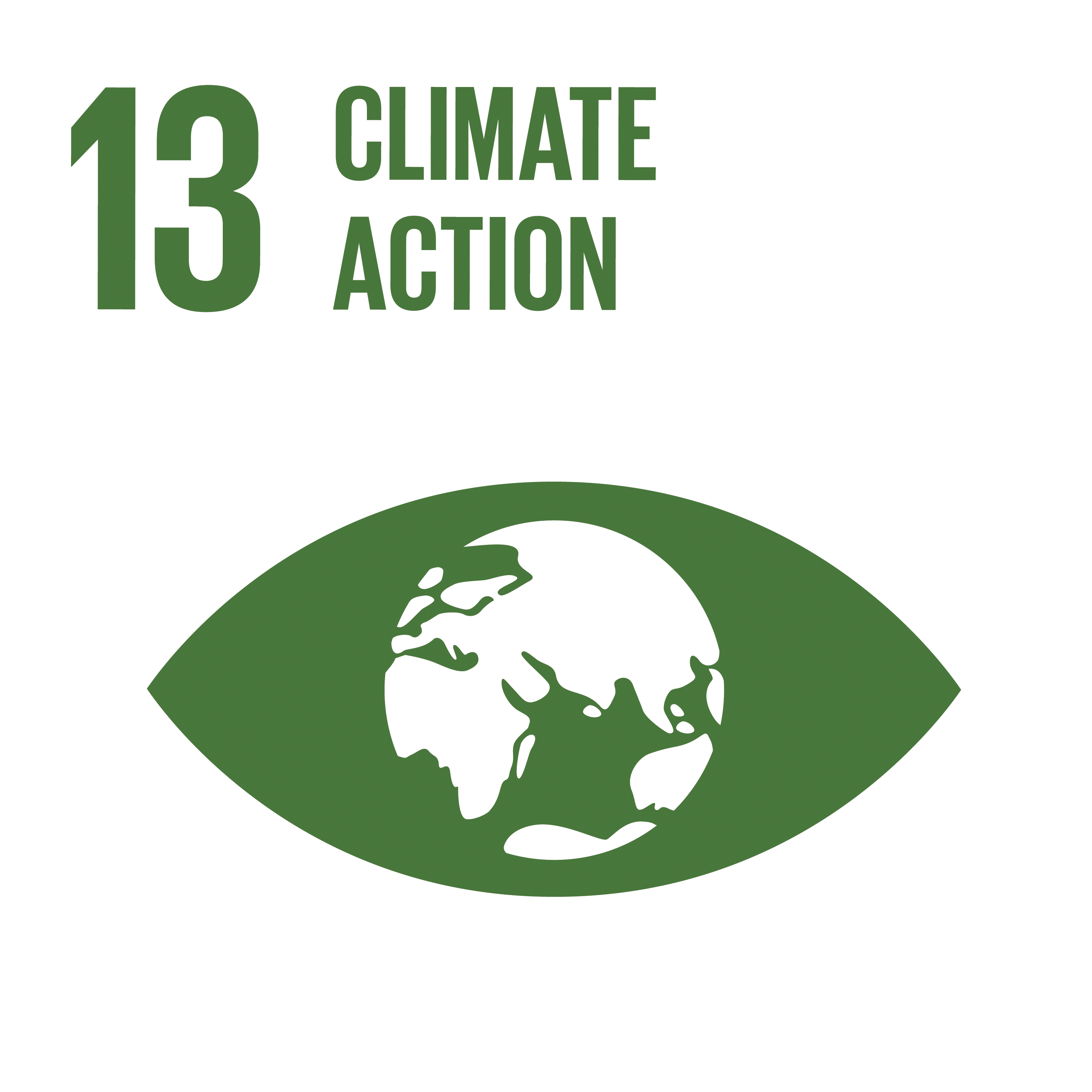 Sustainable Development Goal 13 Icon