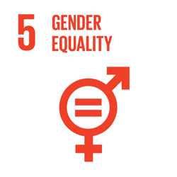 Sustainable Development Goal 5 Icon