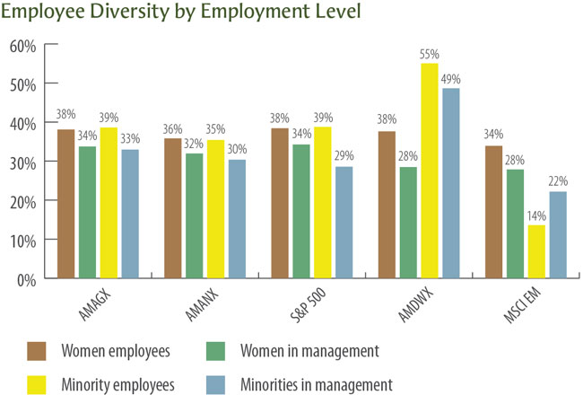 Employee Diversity by Employment Level