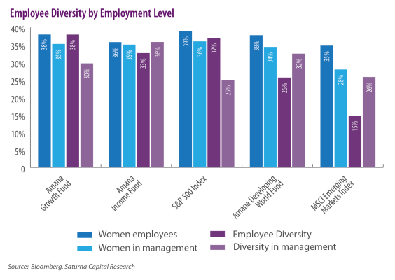 Employee Diversity by Employment Level