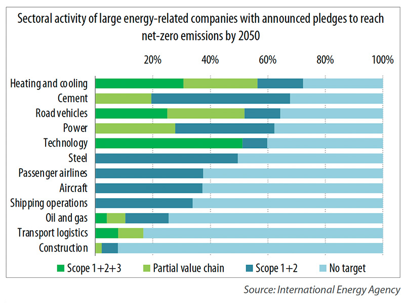 Sectoral activity of large energy-related companies with announced pledges to reach net-zero emissions by 2050