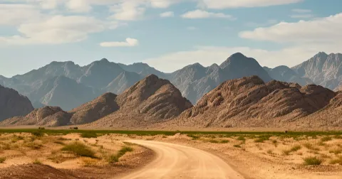 Desert landscape
