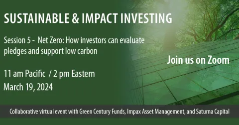 Sustainable and Impact Investing: Net Zero - How investors can evaluate pledges and support low carbon.
