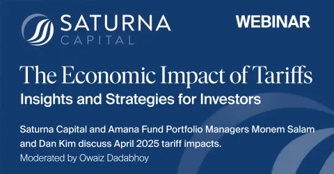 The Economic Impact of Tariffs: Insights and Strategies for Investors