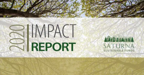2020 Sustainable Impact Report