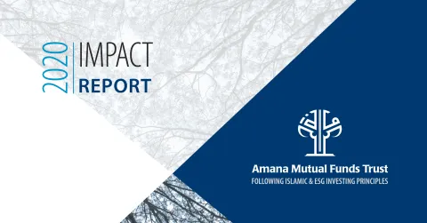 Amana Funds Impact Report 2020