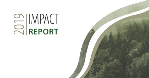 2019 Sustainable Funds Impact Report