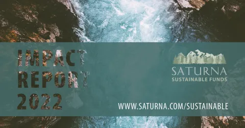 2022 Sustainable Impact Report