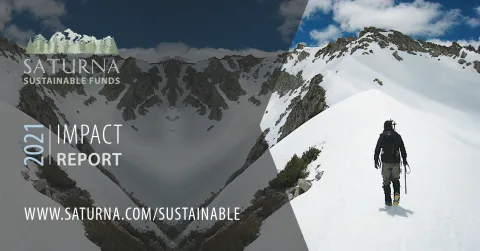 2021 Sustainable Impact Report