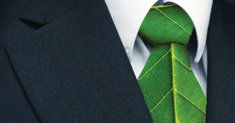 The Sustainability Smile