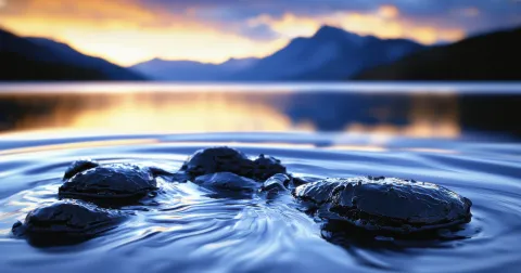 Sustainable Impact Report 2025