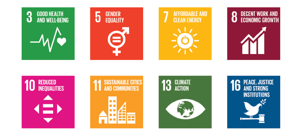 8 SDG Icons