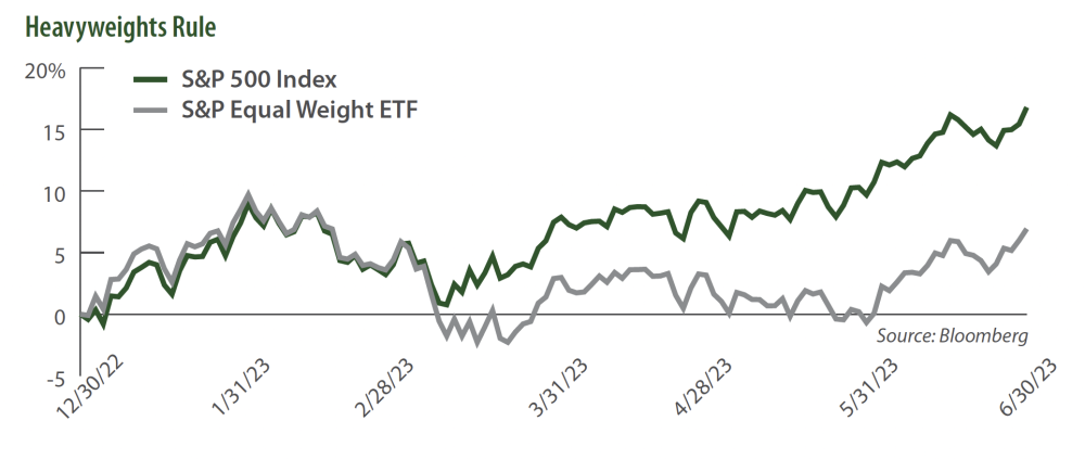 Heavyweights Rule Sustainable