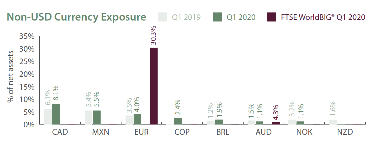 Non-USD Currency Exposure