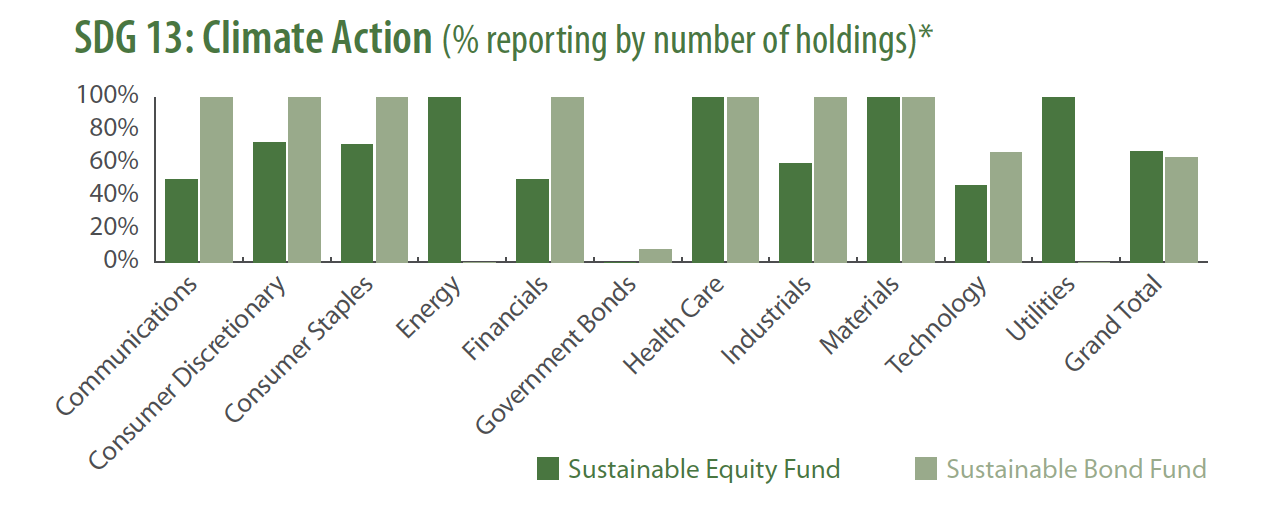 SDG13 By Fund 2020