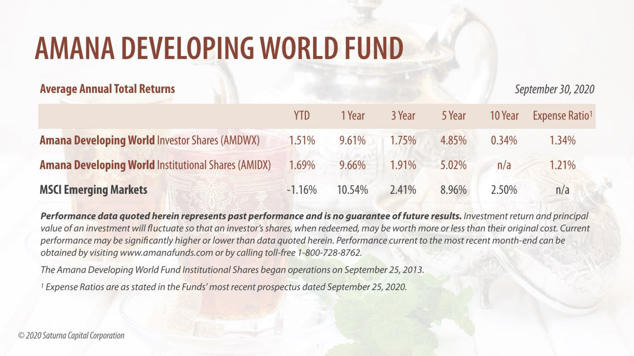 Developing World Fund Performance
