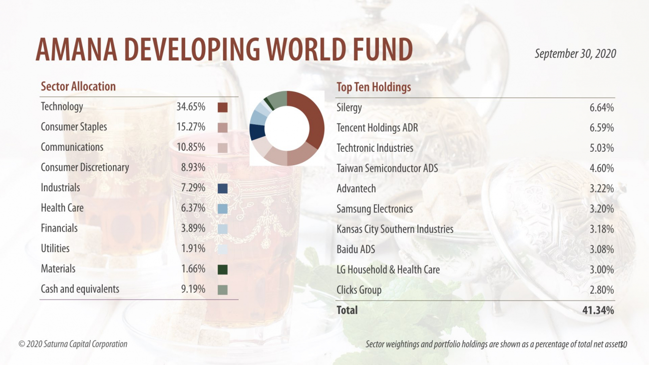 Amana Developing World Fund Asset Allocation
