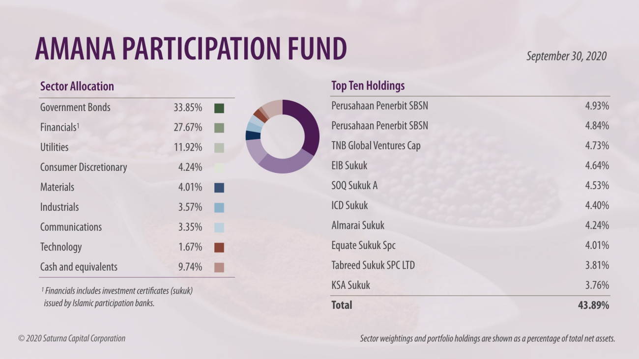 Amana Participation Fund Asset Allocation