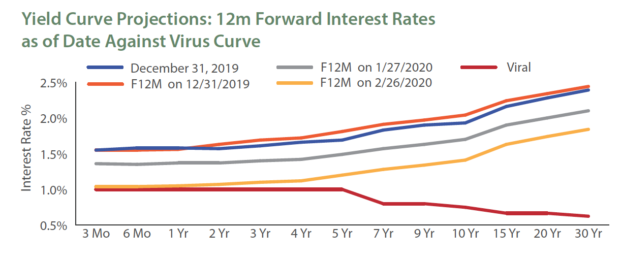 Yield Curve Projections
