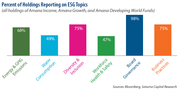 Percent of Holdings Reporting on ESG Topics