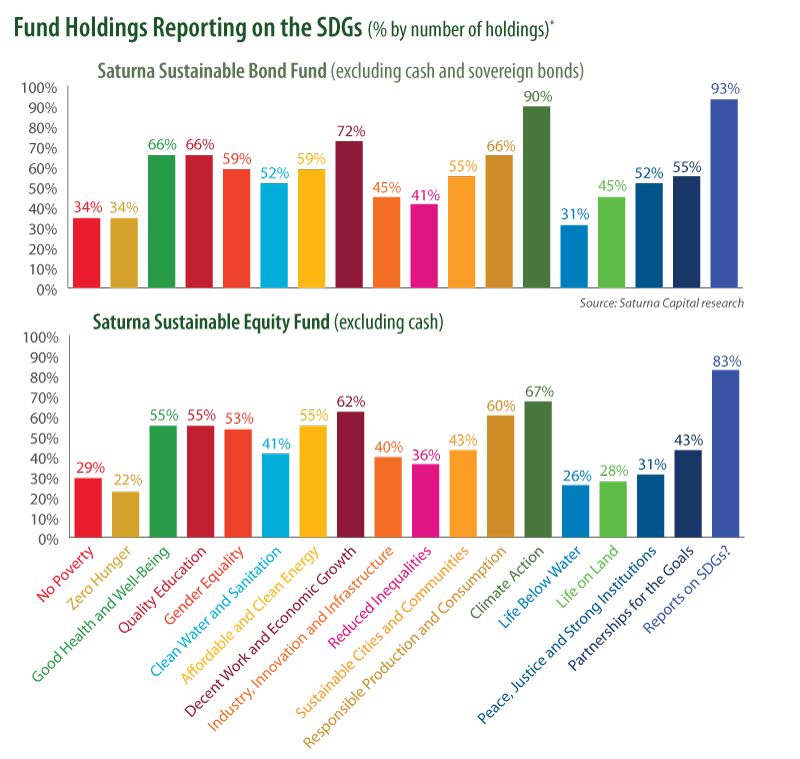 Fund Holdings Reporting on the SDGs