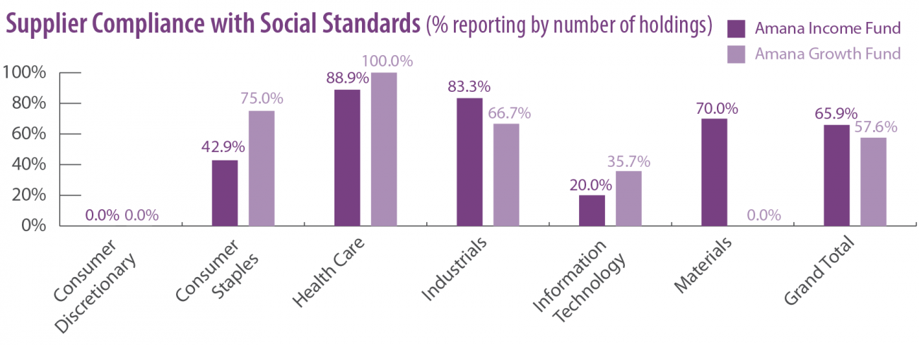 Supplier Compliance with Social Standards