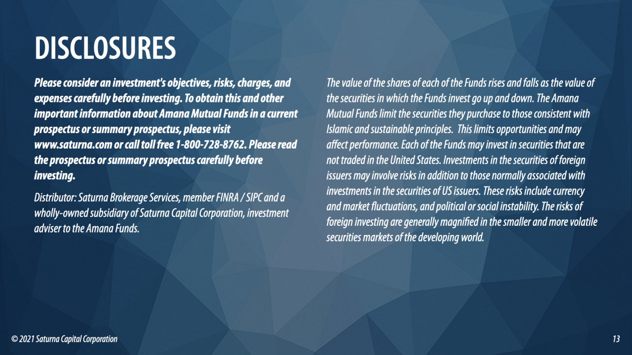 Sustainable Webinar 8 Disclosures 1
