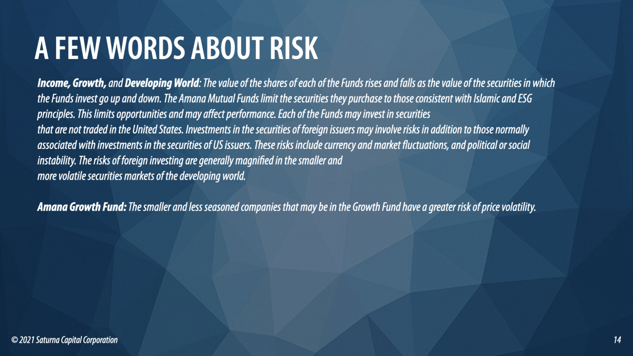 Sustainable Webinar 8 Disclosures 2