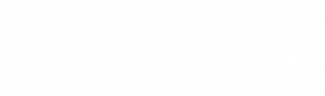 Morningstar Logo in white