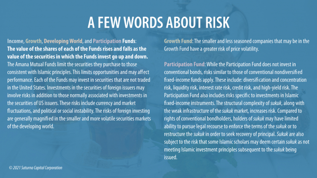 A Few Words About Risk (note: this material is repeated in the body text of the page)