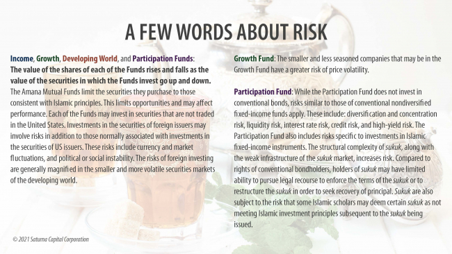 A Few Words About Risk (note: this material is repeated in the body text of the page)