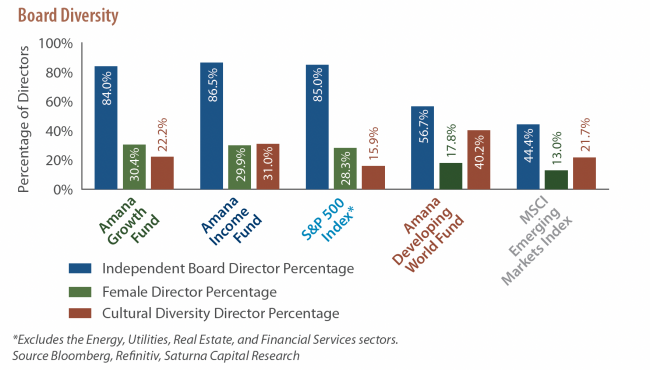 Board Diversity graph
