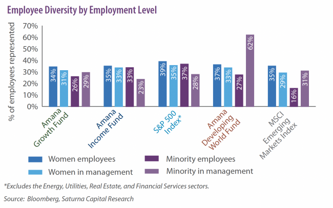 Employee Diversity by Employment Level graph