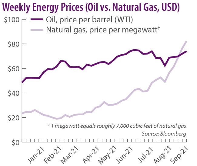 Weekly Energy Prices (Oil vs. Natural Gas, USD)