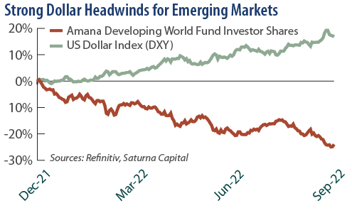 Strong Dollar Headwinds for Emerging Markets