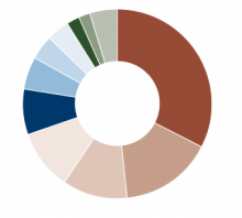 Amana Developing World Fund Sector Allocation pie chart
