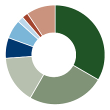 Amana Growth Fund Sector Allocation pie chart