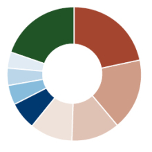 Amana Developing World Fund Sector Allocation pie chart
