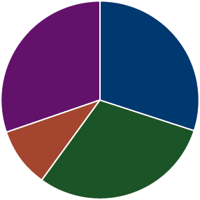 A pie chart representing a Growth and Income allocation strategy