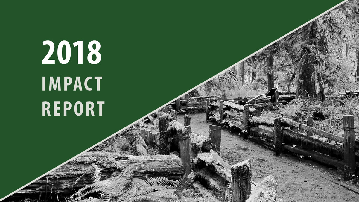 Saturna Sustainable Funds 2018 Impact Report