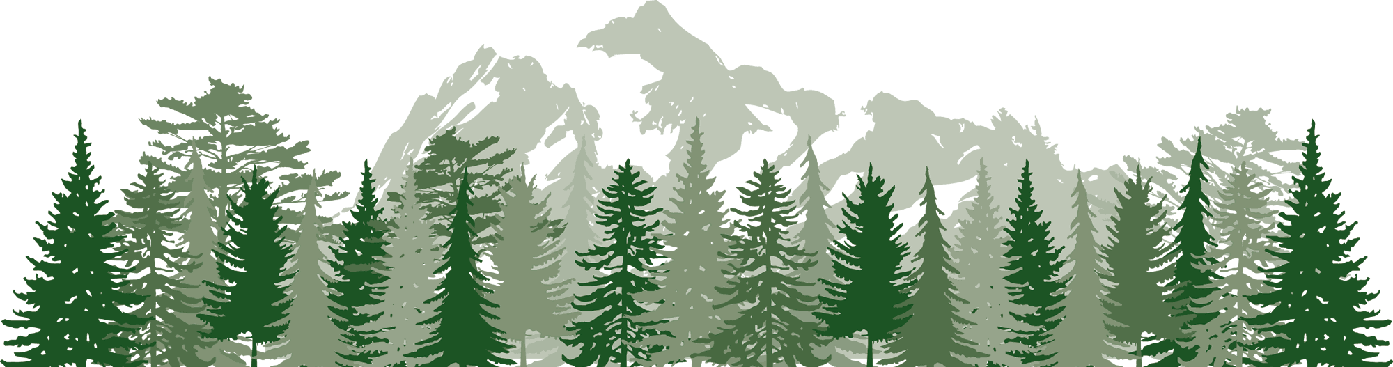 Mt. Shuksan with stylized trees in the foreground