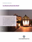 Can Revenue Bonds Be Halal?