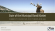 State of the Municipal Bond Market
