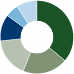 Amana Growth Fund Sector Allocation