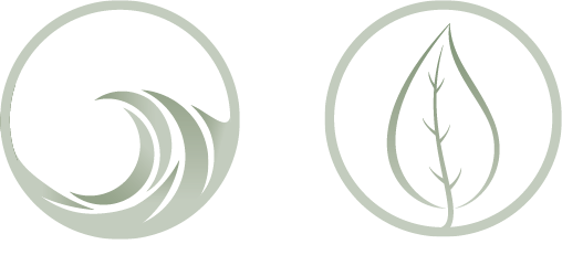 Sustainable Funds Two Icons (Wave and Leaf)